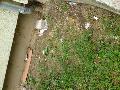 dsc00074 dsc00074
