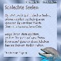 schlechte seelen
